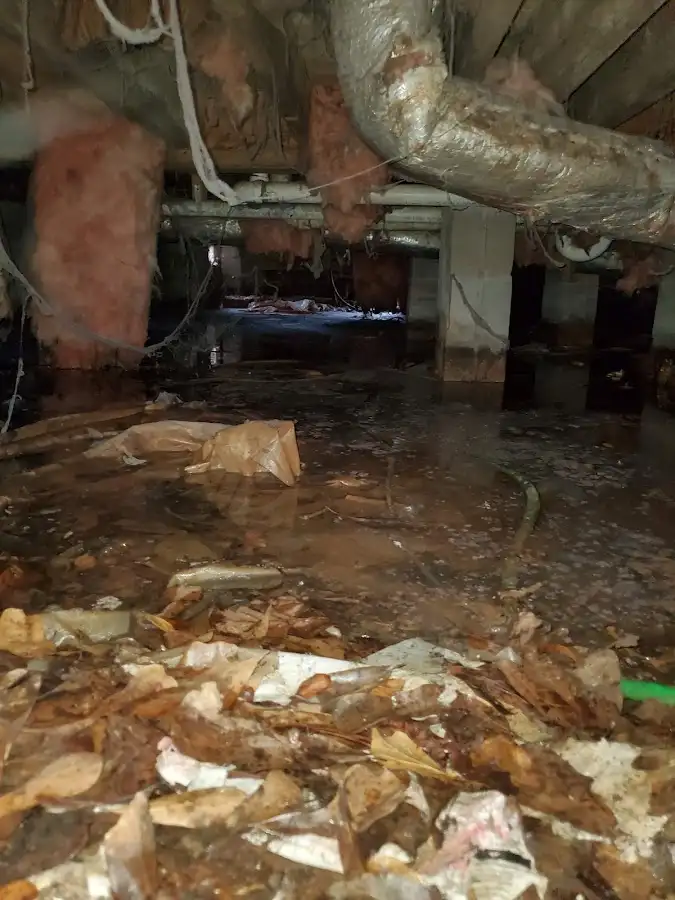 Crawl space flood assessment for Leak Detection & Repair in Knik-Fairview