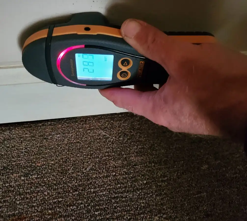 Moisture detection at baseboard during Mold Inspection & Testing in Knik-Fairview
